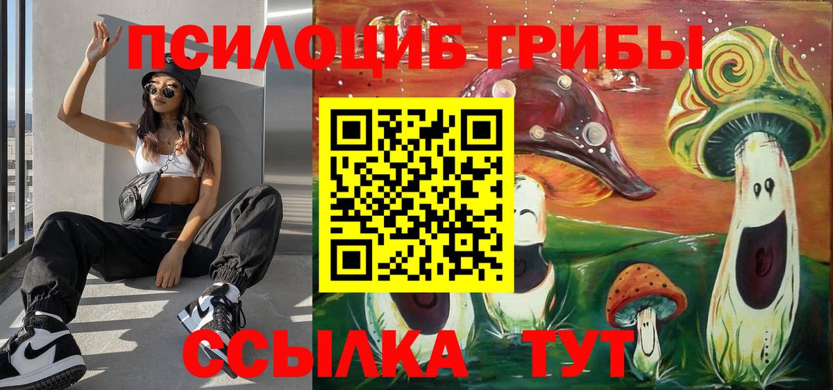 Галлюциногенные грибы Psilocybine cubensis  Вход с VPN  Галлюциногенные грибы ЛСД  Вятские Поляны 